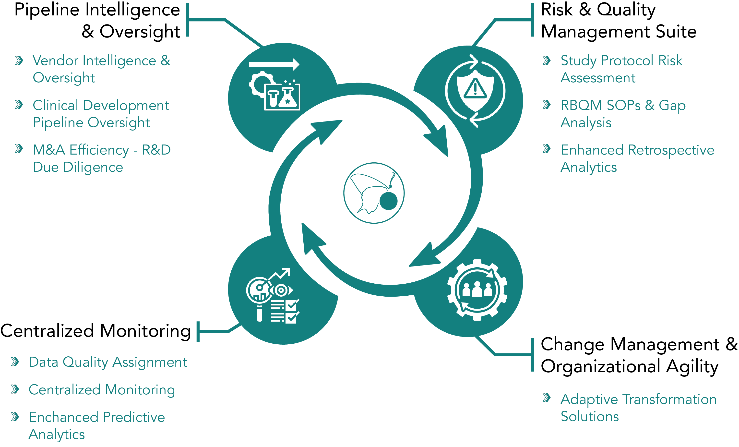 Functional Service Provision Model for RBQM Implementation